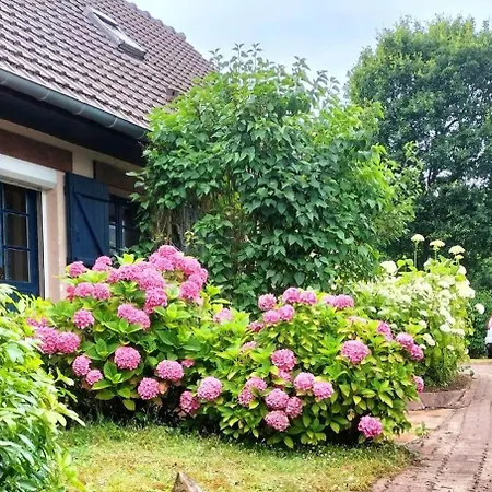 Beautiful Villa Touquettoise Near The Golf Le Touquet Exterior photo